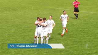 SpVgg SV Weiden - SC Eltersdorf  (Bayernliga, Saison 2016/17 - Spieltag 33)