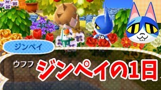 【とび森】ジンペイを裏技で凶暴化させるとどうなるか検証してみた【とびだせ どうぶつの森 amiibo+ 実況プレイ】