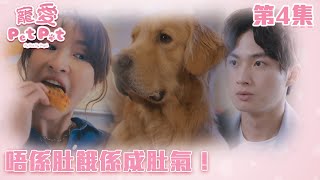 寵愛Pet Pet｜唔係肚餓係成肚氣！｜周嘉洛｜林夏薇｜甜寵｜喜劇｜TVB港劇精華