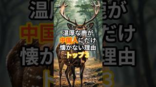 温厚な鹿が中国人にだけ懐かない理由トップスリー#海外の反応 #海外情報 #雑学 #ランキング #中国人