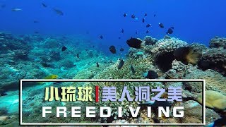 小琉球 | 美人洞之美 | 自由潛水 | FREEDIVING | VLOG-022