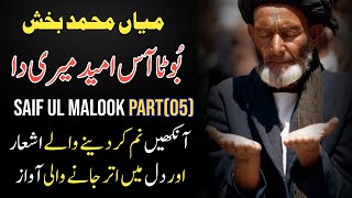 Kalam Miyaan Muhammad Bakhsh | Punjabi Sufi Kalam Saif ul Malook Part 5 | New Sufi Songs | Zaman Ali