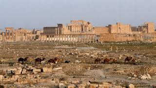 Palmyra | Wikipedia audio article