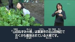 【手話】滋賀県に関する情報を手話でお伝えする「手話タイムプラスワン」（2024年12月20日放送）