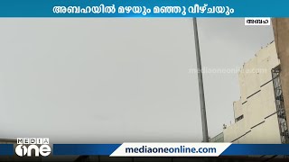 അബഹയിൽ മഴയും മഞ്ഞു വീഴ്‌ചയും; വിനോദ സഞ്ചാരികൾ അബഹയിലേക്ക് ഒഴുകുന്നു