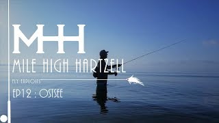 Meer Forelle, Hunt for Sea Trout - Fly Exploits EP12