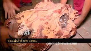 Red sandalwood worth Rs 2 crore seized, kochi vallarpadam port | FIR 25 Oct 2017