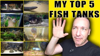 MY TOP 5 FISH and their aquariums - The king of DIY