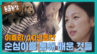 이효리, 10년 동안 순심이를 통해 배운 ‘사랑과 교감’ I TV동물농장 (Animal Farm) | SBS Story