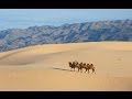 Top 10 Largest Deserts in the World