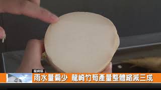 雨水量偏少 龍崎竹筍產量整體縮減三成-新永安新聞