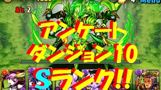 【パズドラ】アンケートダンジョン10 超級でSランクゲットを目指す！赤ソニアｘ呂布パ 【205】