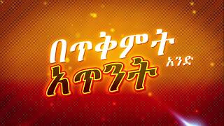 በጥቅምት አንድ አጥንት የስጋ እና የቢራ ፌስቲቫል