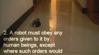 The Wall-e Prototype