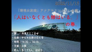 いわき市釣り散歩　アクアマリンふくしま横　釣り人が０だった編　其の１　2022/11/13