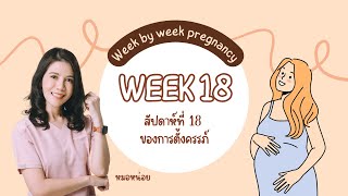 สัปดาห์ที่ 18 ของการตั้งครรภ์ : Pregnancy week 18 สัปดาห์ที่ 18 ของการตั้งครรภ์เกิดอะไรขึ้นบ้าง?