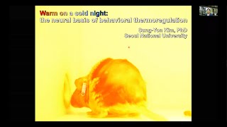 Warm on a cold night: the neural basis of behavioral thermoregulation