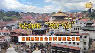 The oldest Hindu temple in Kathmandu, Nepal - Pashupatinath Temple, Pashupatinath (पशुपतिन━थ मन्दिｉ）