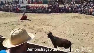 Demonstração de toureio a pé em samora correia 1/05/17