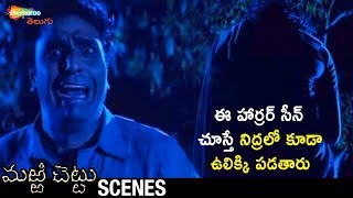 Ghost Attacks on Stranger | Marri Chettu Telugu Horror Movie | JD Chakravarthy | Sushmita Sen