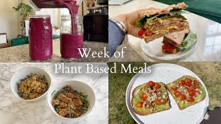 What I Eat In A Week Using My Meal Prepped Foods! WFPB SOS Free