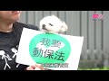 20180422 團體政總外請願 促政府立法保障動物權益