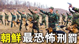 北韓最恐怖的刑罰！只因對金正恩鼓掌不夠誠意，竟放出120只狗進行“處決”！？