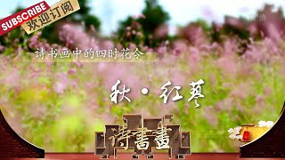 四时花令·秋·红蓼 陆游《花蓼》主要通过对比今昔两种状态来表达他对红蓼的喜爱之情  |《诗书画》Becoming poetic 20201022【东方卫视官方频道】