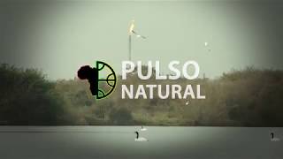 Pulso Natural -  Gran Río (Video Oficial)