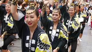 第６３回東京高円寺阿波踊り　舞蝶連