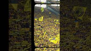 ✨ Wat een sfeer bij Borussia Dortmund!🔥