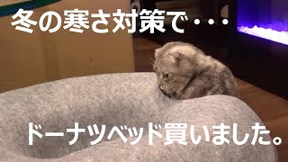 猫Vlog2021年12月①ドーナツベッド買いました。😻🌙