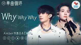 单曲循环 ｜ Amber刘逸云\u0026王赫野《Why Why Why》 不要问我为什么爱你 因为所有的言语都词不达意~