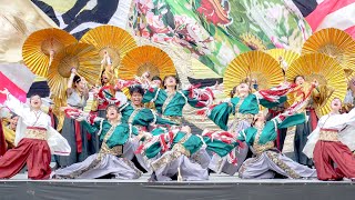 [4K] 神戸学生よさこいチーム湊　こいや祭り 2024 日曜日 (中央)