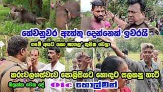 ඇත්තු දෙකක් ඉවරයි- පොලිසියට වෙච්ච දේ-හිතපු නැති දෙයක් වුනේ-තේවනුවර Rowan Production -Gossip-News