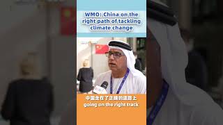 WMO: China on the right path in tackling climate change