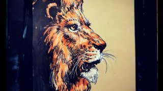 Lion drawing 동물 그리기-사자 그리는법