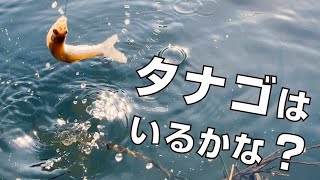 Fishing for small fish with a rod I made! I catch Tanago bitterlings and small crucian carp! JAPAN