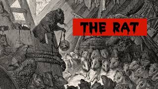 The Rat | TrueAnon