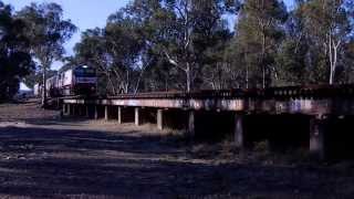 9104 at Mambray Creek