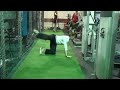 push muscle activation series trailer