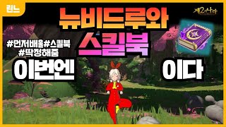 [제2의나라] 뉴비 꿀팁, 공략 ! 스킬편! 속성, 직업별 추천 스킬, 스킬 파밍 장소