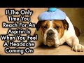 See What Happens When You Use Aspirin in Your Garden See What Happens When You Use Aspirin in Your Garden