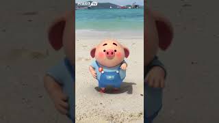 海草舞