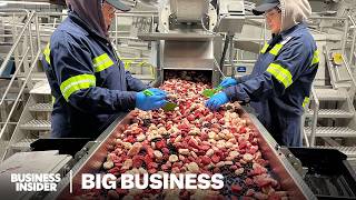 Why Maine's Blueberry Farmers Are Losing Millions