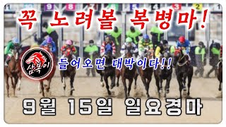 삼복이 일요경마🐴9월15일 서울/부산 노려볼 복병마🔴노리자 삼복,삼쌍 배당마!!