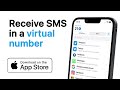 sms virtual receive sms