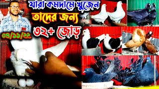 ৩২+ জুড়া কবুতর কিনুন একদম কম দাম | খুবই সীমিত দামে কবুতর বিক্রি | কম দামে কবুতর কিনুন খামার থেকে |