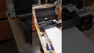 Epson l18050 меняем манифолд и демферы. Разбираем принтер. Точно для ДТФ?