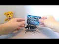 gashapon review いきもの大図鑑 ビルマニクス（ビルマゴホンヅノカブト） rabbit earred beetle review